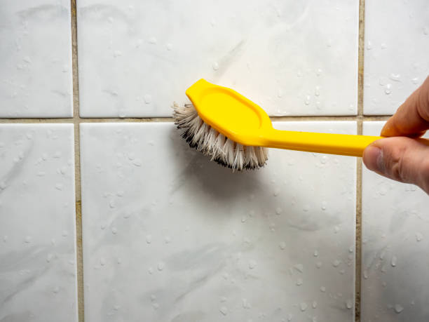 Best Mold Removal Company Near Me  in Cajahs Mountain, NC