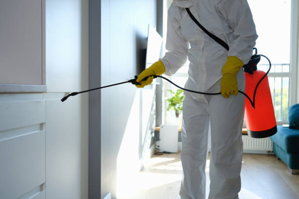 Best Crawl Space Mold Removal  in Cajahs Mountain, NC